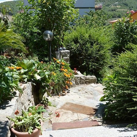 Pietro & Graziella Bed and Breakfast Sorgono Buitenkant foto