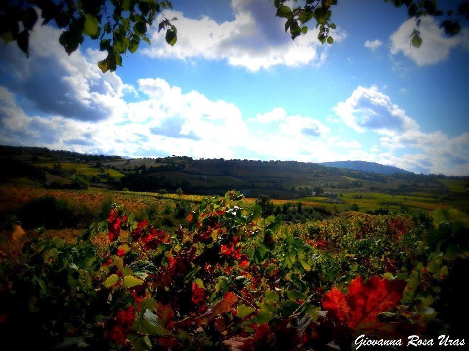 Pietro & Graziella Bed and Breakfast Sorgono Buitenkant foto